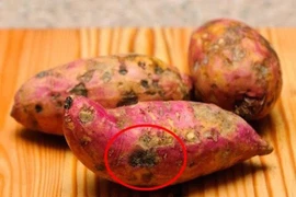 3 loại nguyên liệu tàn phá gan khủng khiếp, nuôi tế bào ung thư