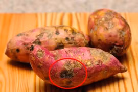 3 loại nguyên liệu tàn phá gan khủng khiếp, nuôi tế bào ung thư