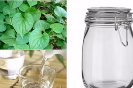 Làm đẹp da từ rau diếp cá và rượu gạo 