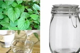 Làm đẹp da từ rau diếp cá và rượu gạo 