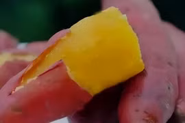 Ăn khoai lang mỗi ngày có bị tăng đường huyết và chống ung thư?