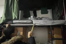 Ngủ gật kiểu này, nữ sinh mất mạng vì điều không ai ngờ