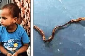 Chơi trong sân thấy rắn, bé trai làm điều ai cũng sợ run người 