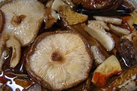 Cách ngâm nấm hương khô đúng chuẩn, sạch sẽ