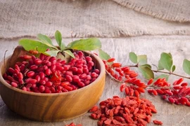 3 thực phẩm tăng khả năng miễn dịch và lấy lại sự quyến rũ tuổi thanh xuân