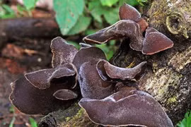 4 thực phẩm là “kẻ thù” huyết áp cao, ngăn ngừa các bệnh tim mạch