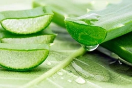 Cách tạo kiểu tóc từ các nguyên liệu dễ kiếm 