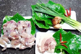 Trắng đêm săn ếch đát, thấy nhiều cũng không dám bắt thêm