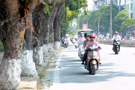 Dự báo thời tiết 3/10: Miền Bắc hanh khô như rang