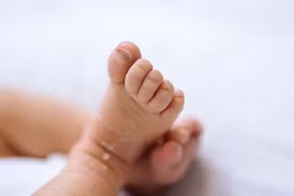 Thấy hộp lạ rung lắc tưởng chó con bị bỏ rơi, nào ngờ...