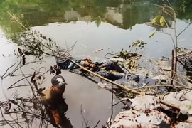 Thấy bạn chết trong nhà sợ liên lụy, vứt luôn xác xuống sông