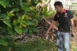 Mèo cưng chạy tới bụi rậm kêu thảm thiết, người đàn ông phát hiện kinh hoàng...