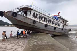 Tàu khách vắt vẻo, mắc kẹt trên đê lấn biển khi tránh bão số 3