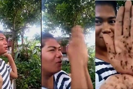 Kỳ lạ người đàn ông “sát thủ” loài muỗi, hô tiếng muỗi đến
