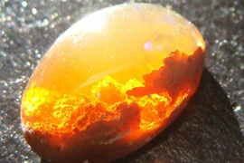 Giật mình những bức ảnh khiến con người không thể không... “đông não" 