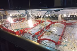 Bắt giữ thành công kẻ cướp tiệm vàng gây chấn động Bình Dương