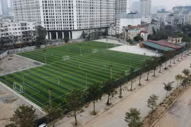 Đất của Dược Mediplantex bị 'hô biến' thành sân sân bóng đá cỏ nhân tạo