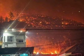 Quảng Ninh: 2 vụ cháy rừng trong đêm, huy động hàng trăm người dập lửa