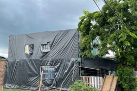 Xử lý công trình “mọc” trên đất nông nghiệp ở Tây Tựu