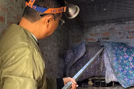 Đổi đời thành tỷ phú nhờ nuôi con “phì phì”