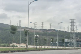 Công ty AIT bị phạt vì phá 2,61ha rừng tự nhiên 