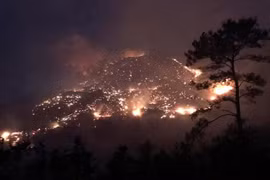 Quảng Ninh huy động hàng trăm người dập 2 vụ cháy rừng trong đêm