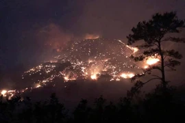 Quảng Ninh huy động hàng trăm người dập 2 vụ cháy rừng trong đêm