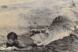 Thót tim hòn đảo bị “quái thú” thống trị không ai dám bén mảng