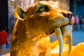 Thất kinh 5 sinh vật khổng lồ, quái dị từng thống trị Trái đất