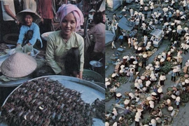 Ảnh để đời về cuộc sống miền Nam những ngày sau giải phóng 