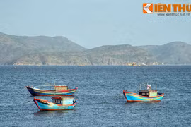 Bí mật ẩn giấu sau vẻ đẹp của đầm Thị Nại