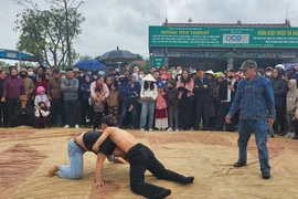 Sôi nổi tại sới vật lễ hội chùa Hương Tích