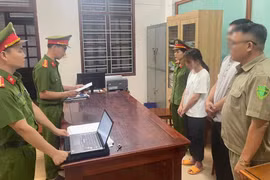 Quảng Nam: Tạm giữ hình sự bảo mẫu hành hạ cháu bé 