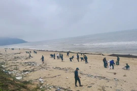  Huế căng mình thu gom hàng trăm tấn dầu vón cục