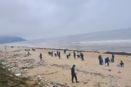  Huế căng mình thu gom hàng trăm tấn dầu vón cục