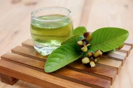 Loại lá phơi khô thành "báu vật" cho sức khoẻ, nhiều người không biết toàn bỏ 