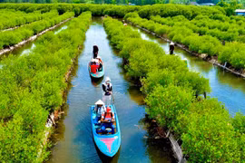 Khám phá rừng ngập mặn Bàu Cá Cái ở Quảng Ngãi 