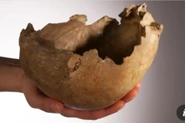 Phân tích ADN cổ đại: Người Anh có hai tổ tiên khác biệt