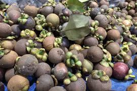 iPhone 12 rớt giá mạnh, thủ phủ măng cụt rơi vào cảnh mất mùa