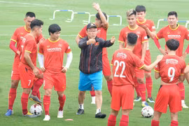 Chọn huấn luyện viên cho tuyển Việt Nam