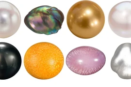 Viên ngọc trai lớn nhất thế giới trị giá bao nhiêu tiền?