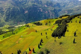 Ngắm nhìn "thảo nguyên châu Âu" ở Hà Giang