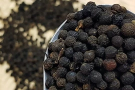 Toàn cầu có 526 ngàn tấn "vàng đen", Việt Nam chiếm lượng lớn