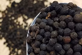 Toàn cầu có 526 ngàn tấn "vàng đen", Việt Nam chiếm lượng lớn