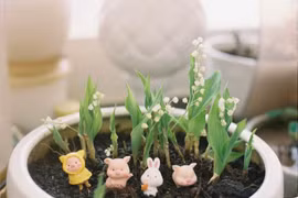 Trào lưu tự trồng hoa linh lan cho đám cưới của bản thân 