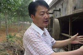 Nghỉ việc về quê nuôi 22 con lợn, nay thành đại gia khiến cả nước bất ngờ