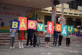 Học sinh tiểu học Phụng Thượng thi hội thao chung tay bảo vệ gấu