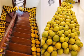 Cảnh tượng của nhiều gia đình miền Bắc ngày Tết nhìn cực quen