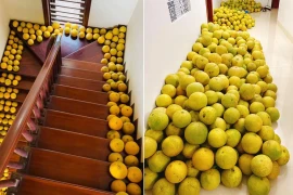 Cảnh tượng của nhiều gia đình miền Bắc ngày Tết nhìn cực quen