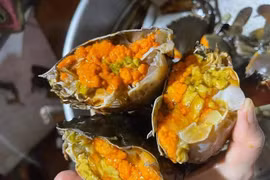 Hải sản giảm giá “sốc”, tôm hùm Alaska chỉ từ 349.000 đồng/con vẫn ế